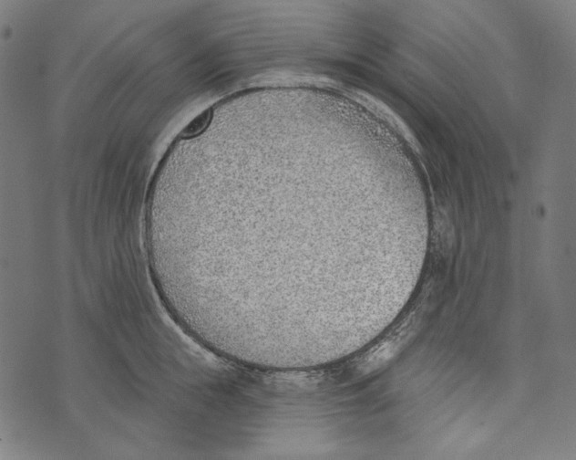 X0000073950855200609181359