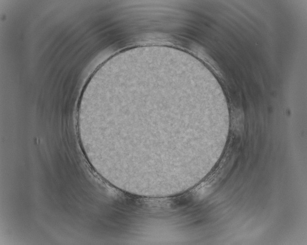 X0000073950856200609181359