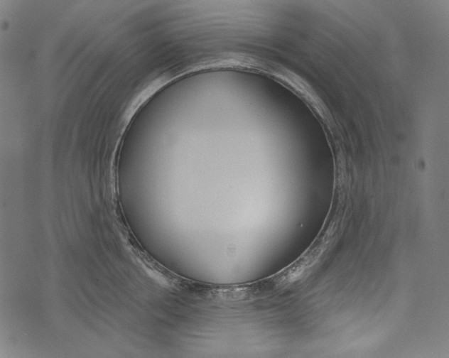 X0000073950858200609181359