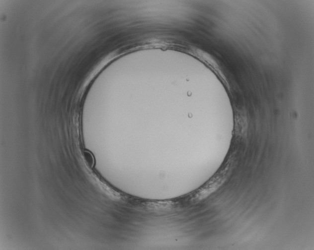 X0000073950859200609181359