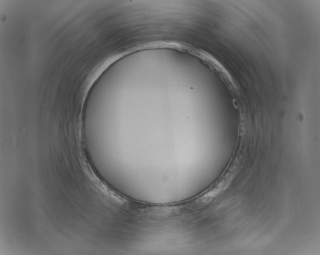 X0000073950860200609181359