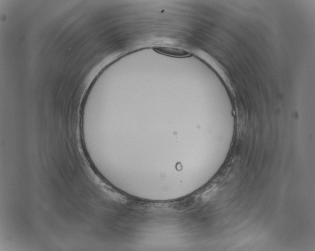 X0000073950861200609181359