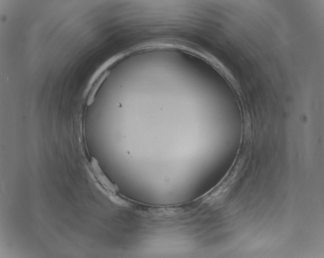 X0000073950862200609181359