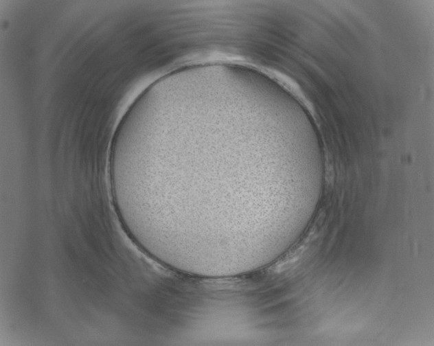 X0000073950863200609181359