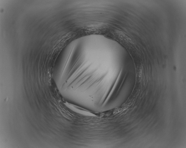 X0000073950868200609181358