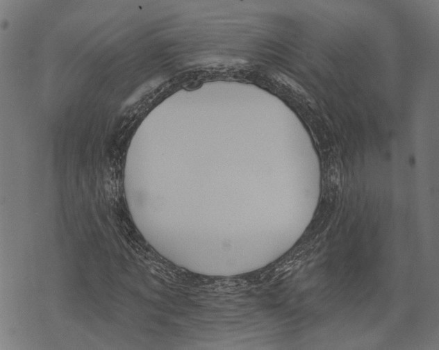 X0000073950869200609181358