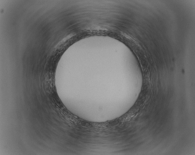 X0000073950870200609181358