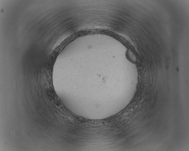 X0000073950871200609181358