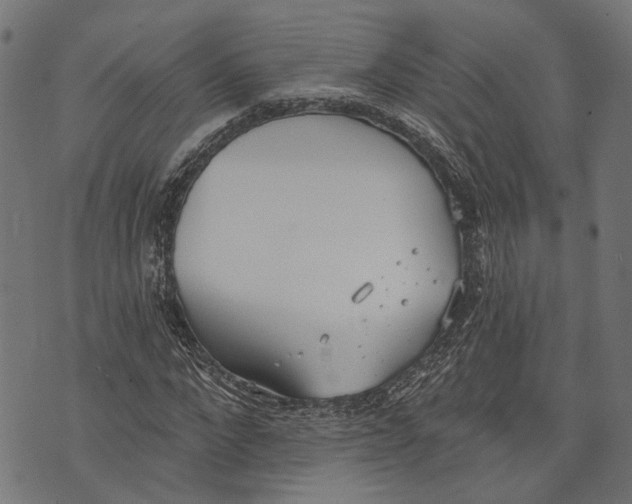 X0000073950872200609181358