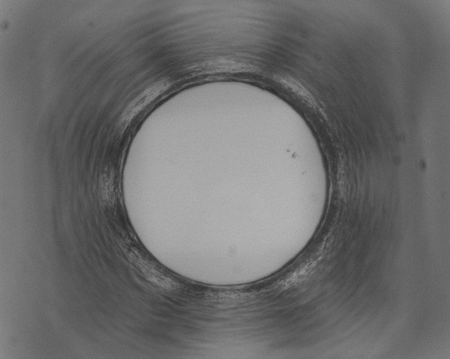 X0000073950873200609181358