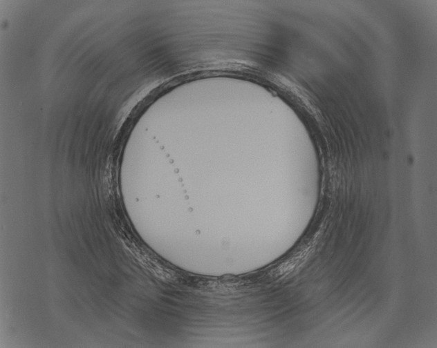 X0000073950875200609181358