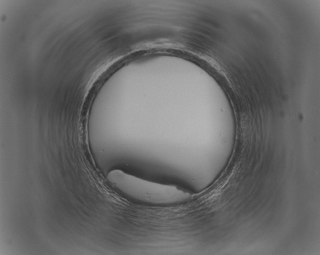 X0000073950879200609181358