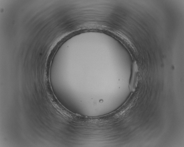 X0000073950880200609181358