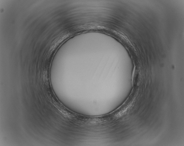 X0000073950881200609181358