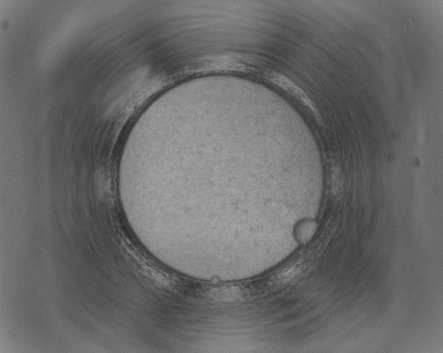 X0000073950882200609181358