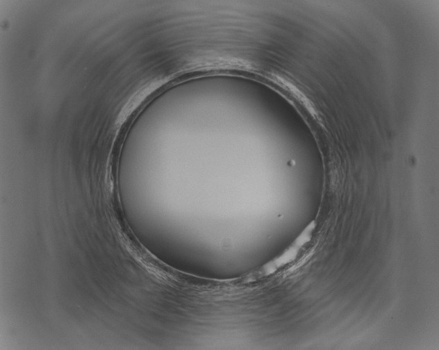 X0000073950885200609181358