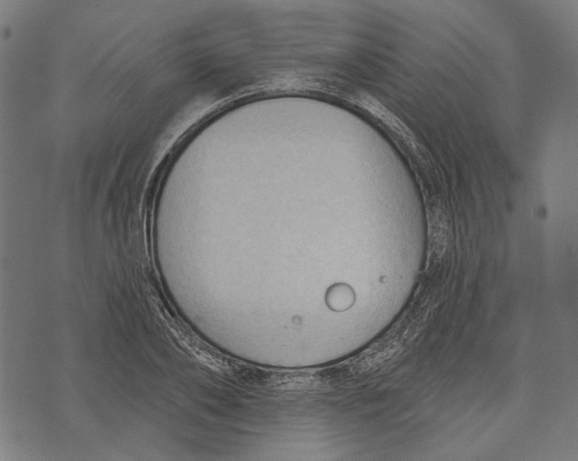 X0000073950886200609181358