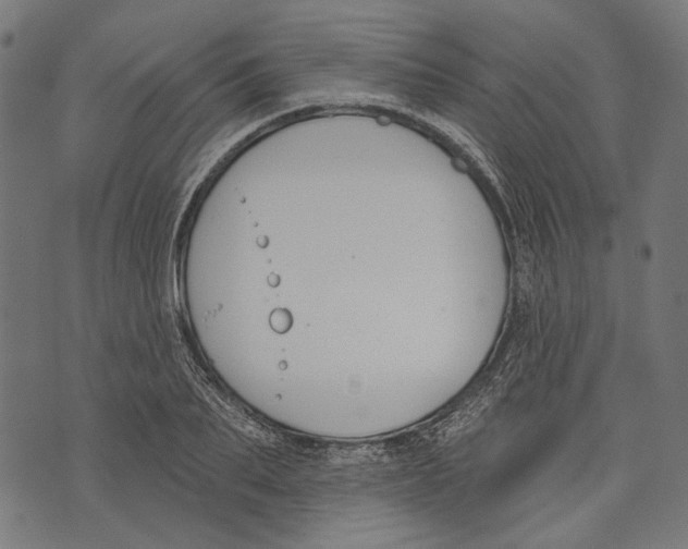 X0000073950887200609181358