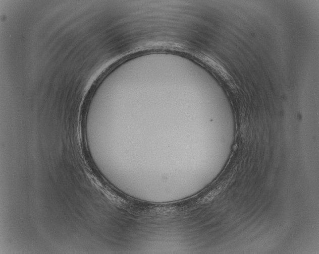 X0000073950888200609181358