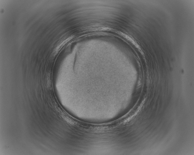 X0000073950889200609181358