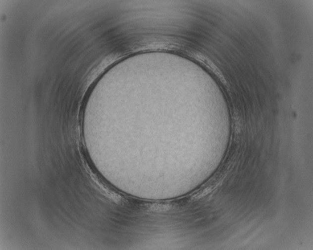 X0000073950890200609181358