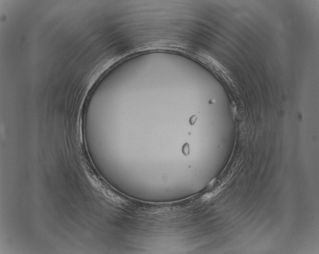 X0000073950892200609181358