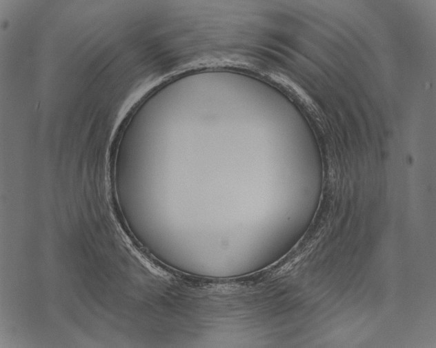 X0000073950894200609181358