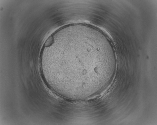 X0000073950895200609181358