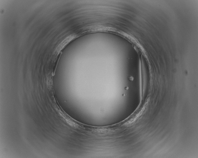 X0000073950897200609181358