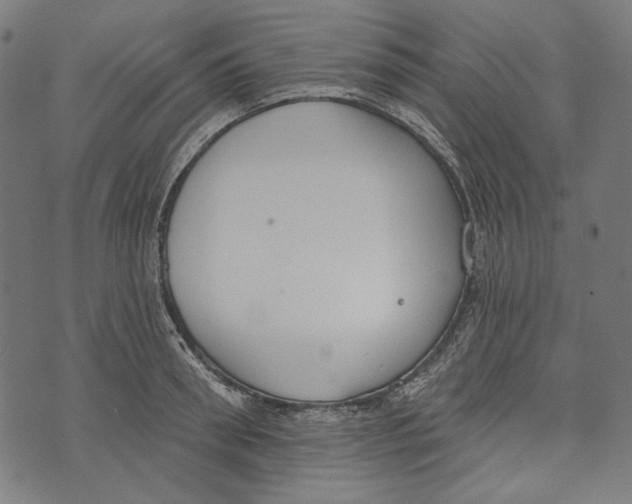 X0000073950898200609181358