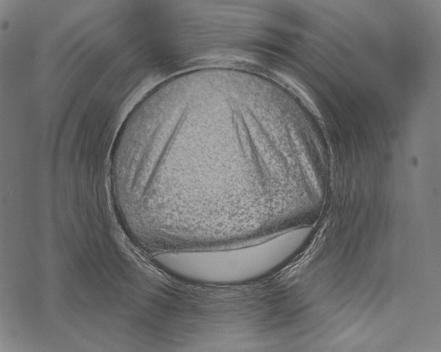 X0000073950899200609181358