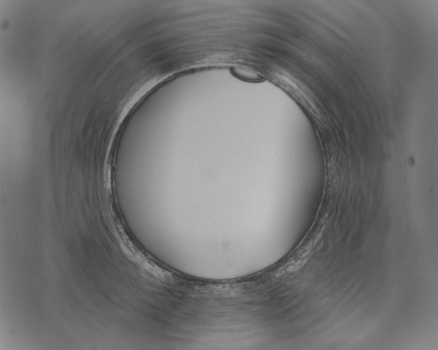 X0000073950900200609181358