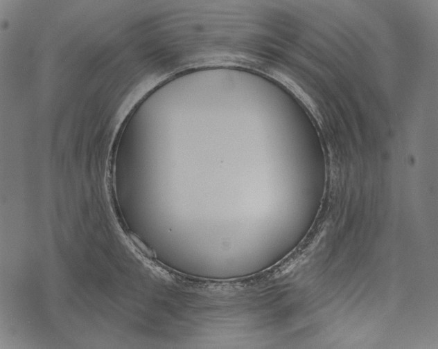 X0000073950901200609181358