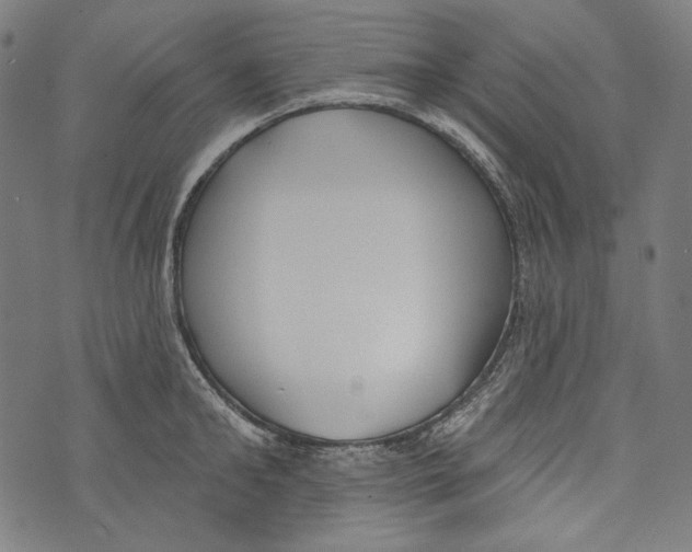 X0000073950902200609181358