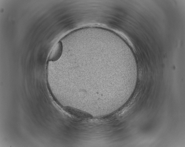 X0000073950903200609181358