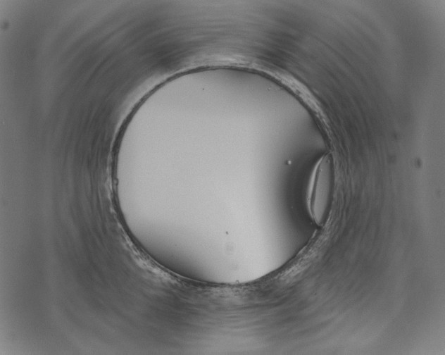 X0000073950904200609181358