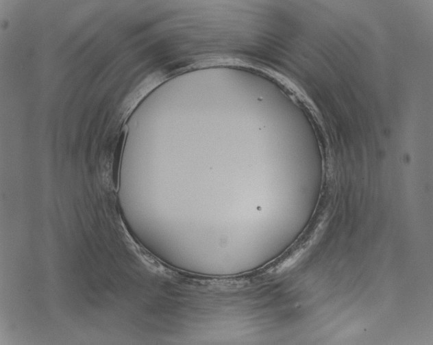 X0000073950905200609181358