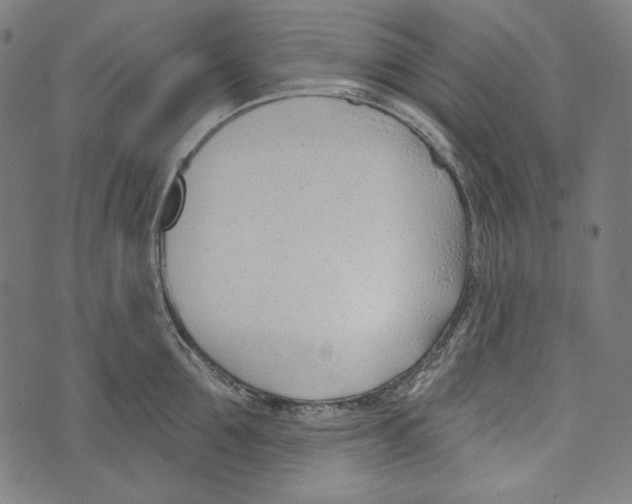 X0000073950907200609181358