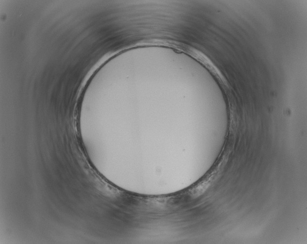 X0000073950908200609181358