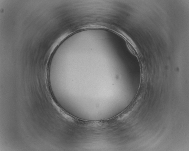 X0000073950909200609181358