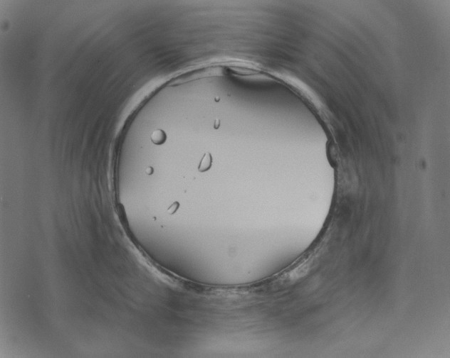 X0000073950910200609181358