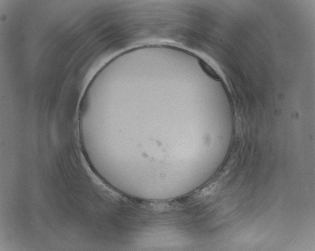 X0000073950911200609181358