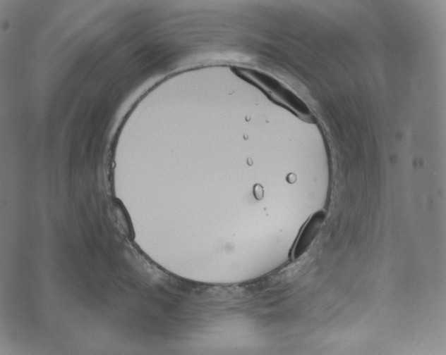 X0000073950912200609181358