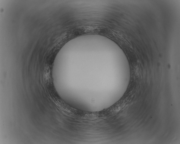 X0000073950914200609181357