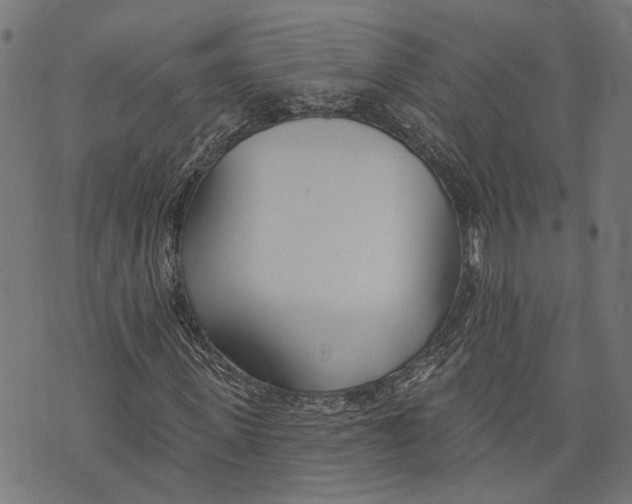 X0000073950915200609181357