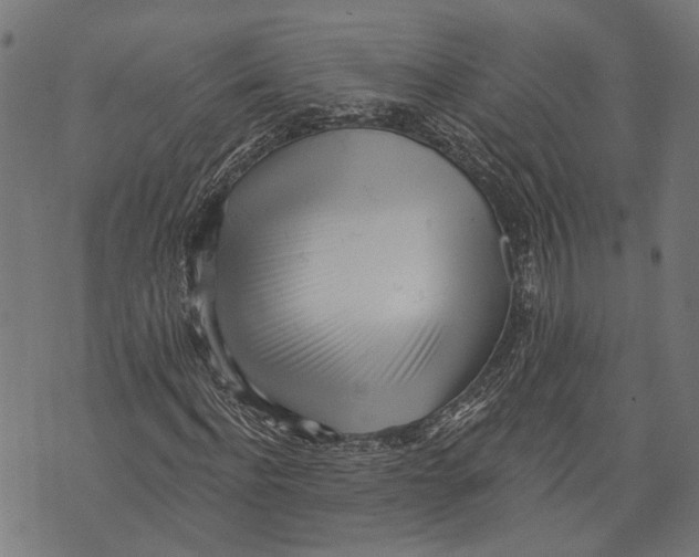 X0000073950916200609181357