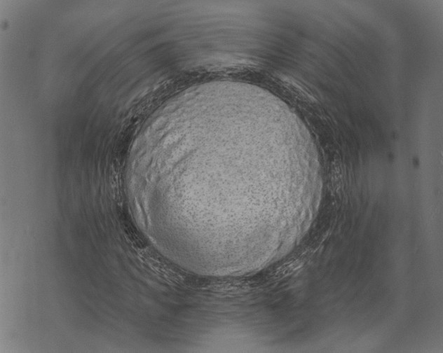 X0000073950917200609181357