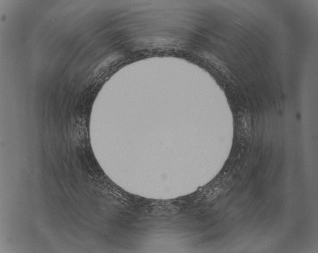 X0000073950918200609181357