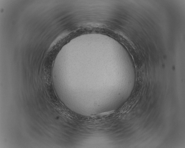 X0000073950919200609181357