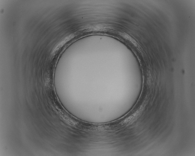 X0000073950922200609181357